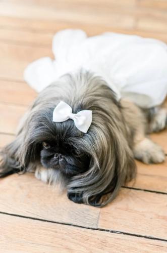 Omar-y-Lauren-Foto-14