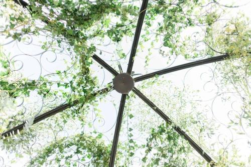 Omar-y-Lauren-Foto-34