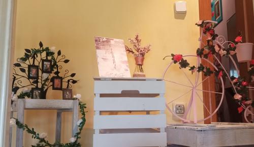 Boda César y Estela 20