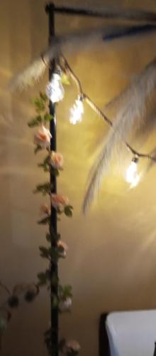 Boda César y Estela 18