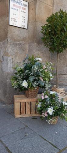 Boda César y Estela 07